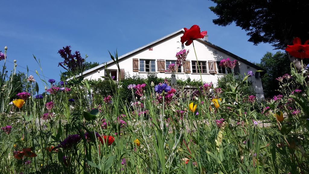 PtitMonde Bed and Breakfast Ban-sur-Meurthe-Clefcy Esterno foto