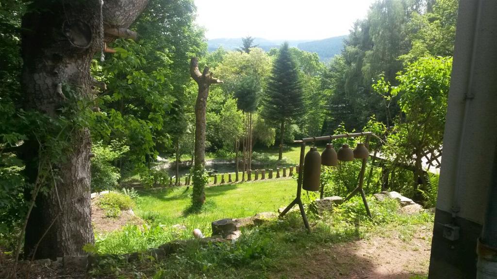 Bed and Breakfast PtitMonde Ban-sur-Meurthe-Clefcy Esterno foto